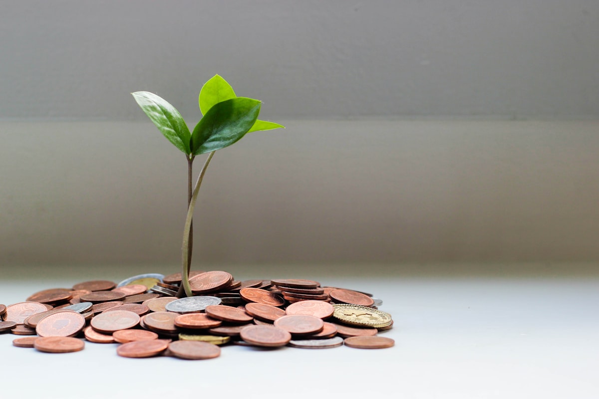 Services financiers professionnels